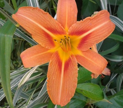 20150706_140536.jpg
