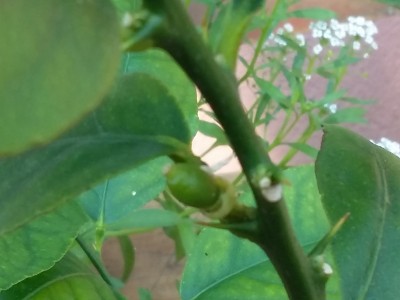 20150707_112728.jpg