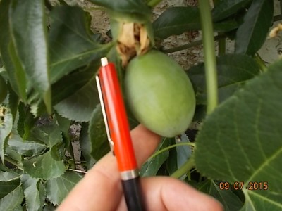 DSCN1077.JPG