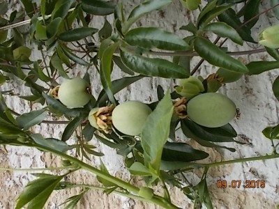 DSCN1075.JPG