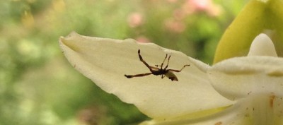 IMG_3295.jpg
