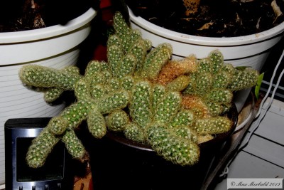 20150713_06.JPG