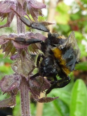 20150719 004 - Kopie.JPG