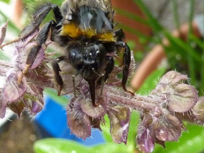 20150719 008 - Kopie.JPG