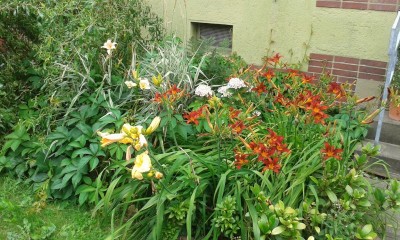 20150720_111630.jpg