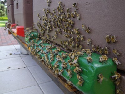 Kopie von Bild 280.jpg