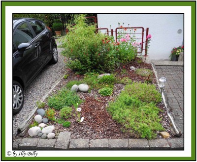 Garten oben 1 _2015.jpg