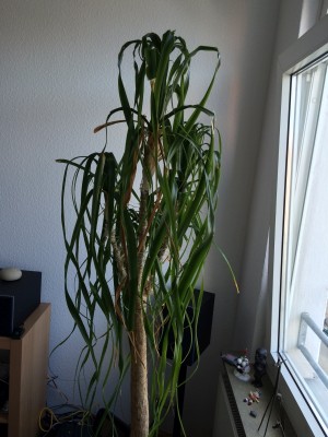 Photo 26.07.15 09 37 43.jpg