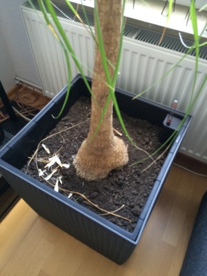 Photo 26.07.15 09 37 55.jpg