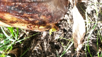 20150727_141821.jpg