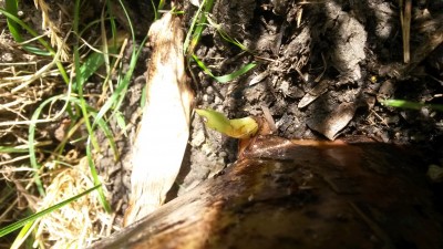 20150727_141747.jpg