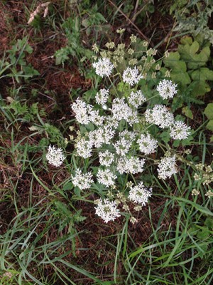 Foto 26.07.15 15 14 56.jpg