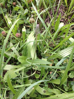 Foto 26.07.15 15 26 23.jpg