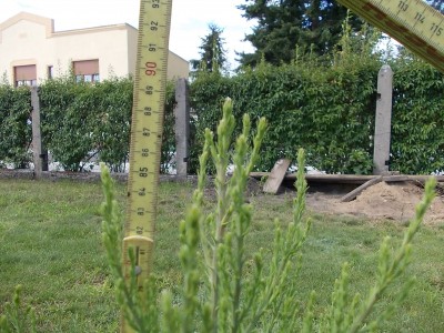 DSCN2919.JPG