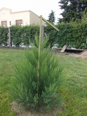 DSCN2921.JPG