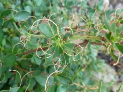 20150820 105.JPG