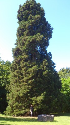633.jpg