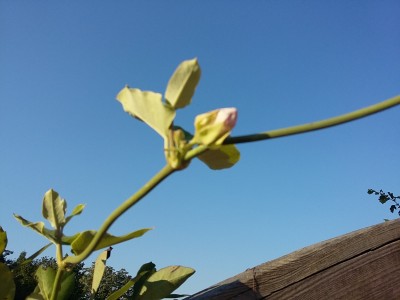 20150823_081457.jpg