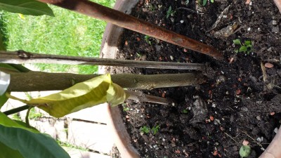 20150826_150438.jpg