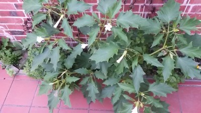 20150822_193124.jpg