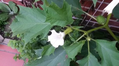 20150822_193138.jpg