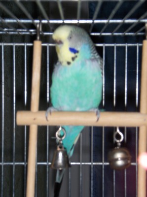 Bild 033.jpg