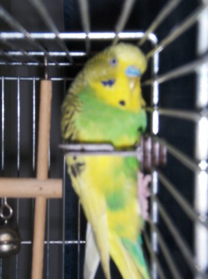 Bild 034.jpg