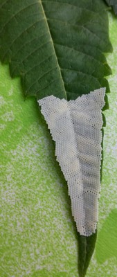 20150830_142728_HDR~2.jpg