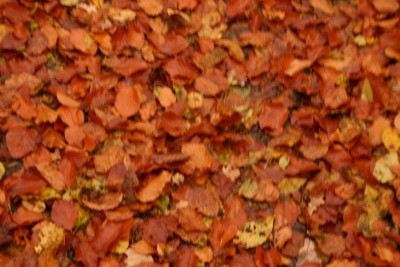 img_0951.jpg.jpg