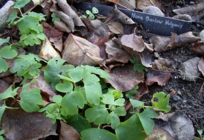PB110108_01.jpg