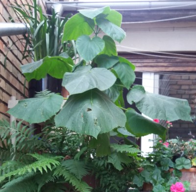 20150909.jpg