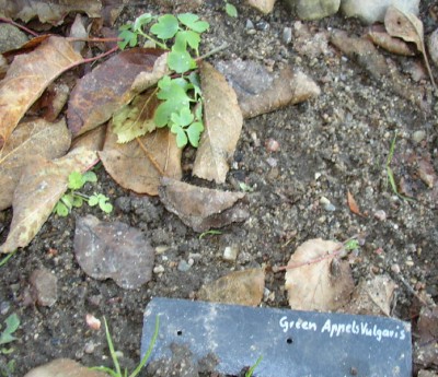 PB110105_01.jpg