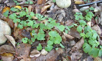 PB110104_01.jpg
