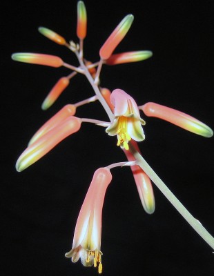 1980-01-01 00.01.04.jpg