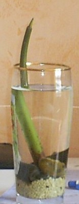 Zwischenablage02.jpg