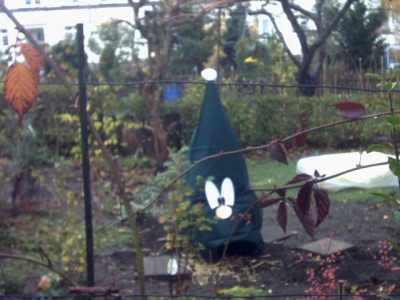 PICT1558.JPG