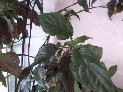 DSCI3090 (640x480).jpg