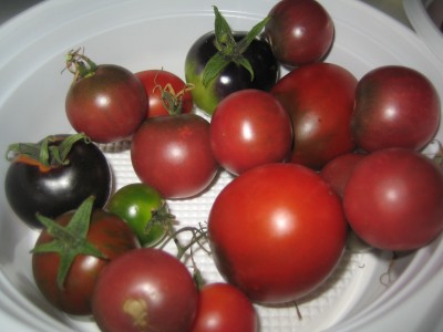 1980-01-01 00.00.15-1.jpg