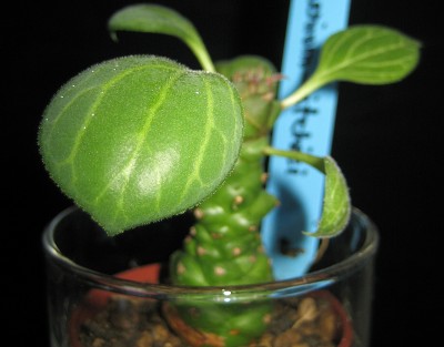 1980-01-01 00.00.14-1.jpg