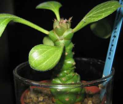 1980-01-01 00.00.30-1.jpg