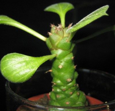 1980-01-01 00.00.37-2.jpg