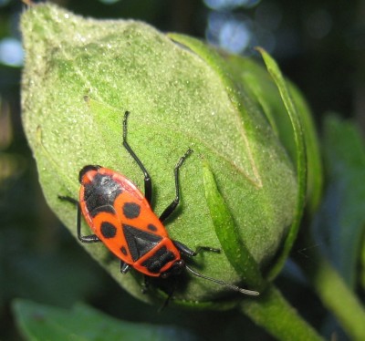 1980-01-01 00.02.45.jpg