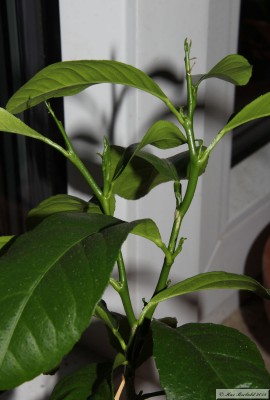 20151003_46.JPG
