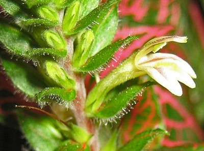 1980-01-01 00.00.42.jpg