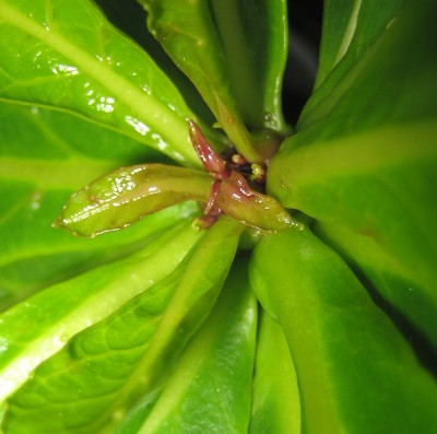 1980-01-01 00.00.43.jpg