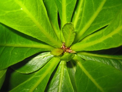 1980-01-01 00.00.23-4.jpg