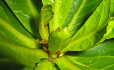 1980-01-01 00.00.37-3.jpg