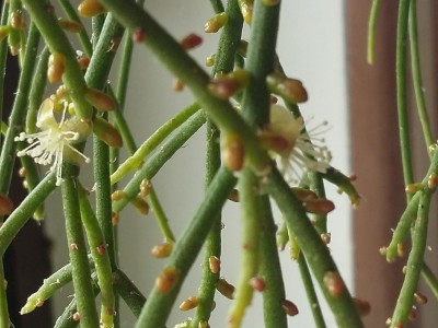 20151005_125448.jpg