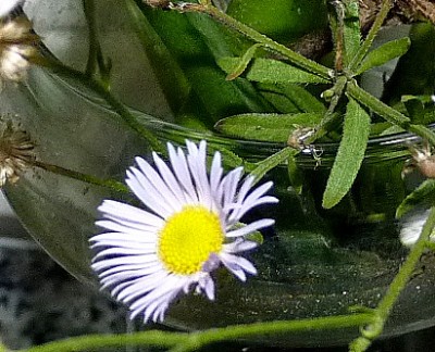 P1060742.JPG
