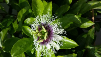 20150902_115040[1].jpg